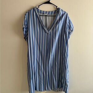 GAP Blue and White Striped Dress